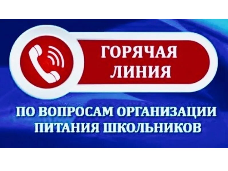 «Горячая линия» по вопросам организации питания в школах..