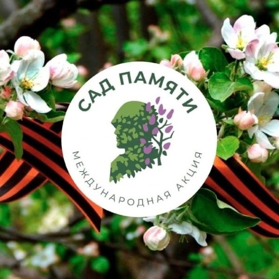 ????#СадПамяти #МБОУБелозерьевскаяСОШ.